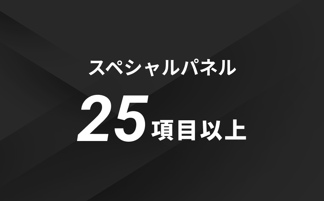 スペシャルパネル25項目以上